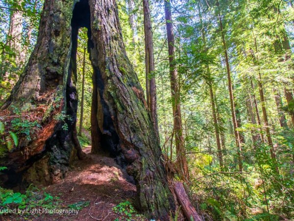 Hope Creek to Ten Teypo Trail –&nbsp;5-13-23