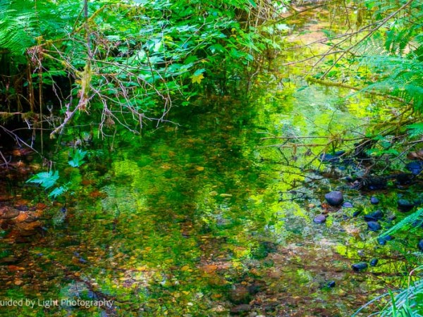 Karl Knapp to West Ridge Trail&nbsp;6-17-23